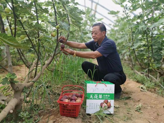 朱老庄镇未来繁荣蓝图，最新发展规划揭秘