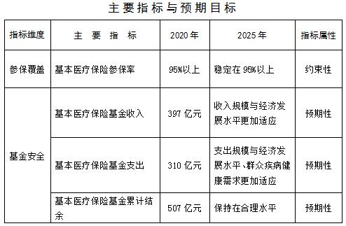 新林区医疗保障局未来发展规划展望