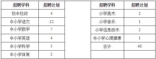 柯城区小学最新招聘启事概览