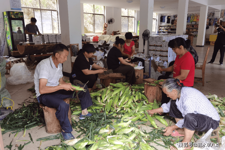 濂竹乡新闻速递，乡村振兴与社区发展开启新篇章