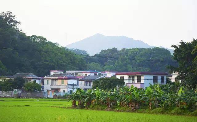 岗嘎竹角村最新项目，乡村振兴的新引擎