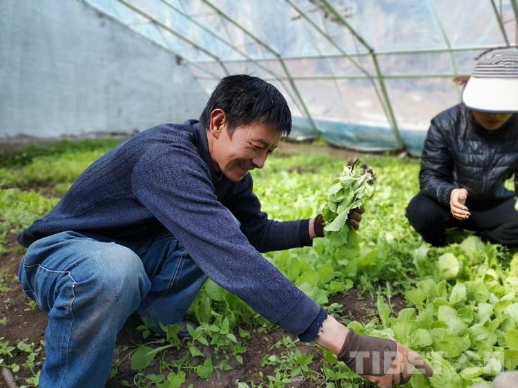 肯通乡新项目，乡村发展的强大引擎驱动力