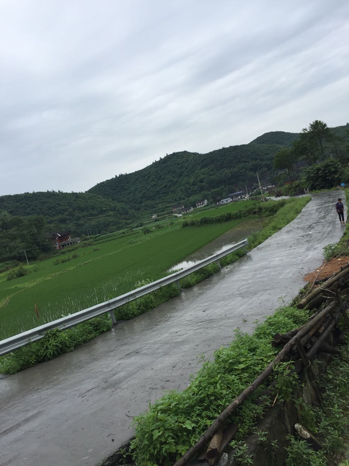 白古村委会天气预报更新通知