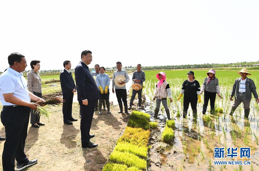 巩家山村民委员会，重塑乡村，迈向繁荣新篇章