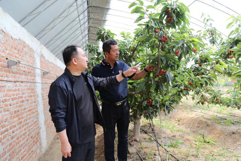 辉南县数据和政务服务局领导团队全新亮相，未来工作展望与期待