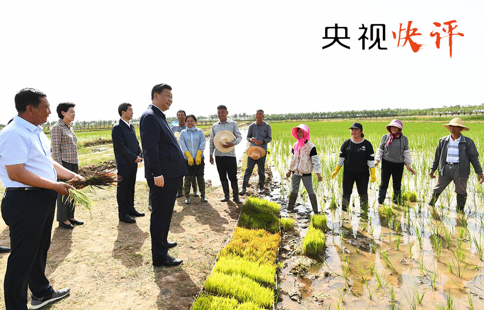 龚家沟村民委员会交通新闻更新