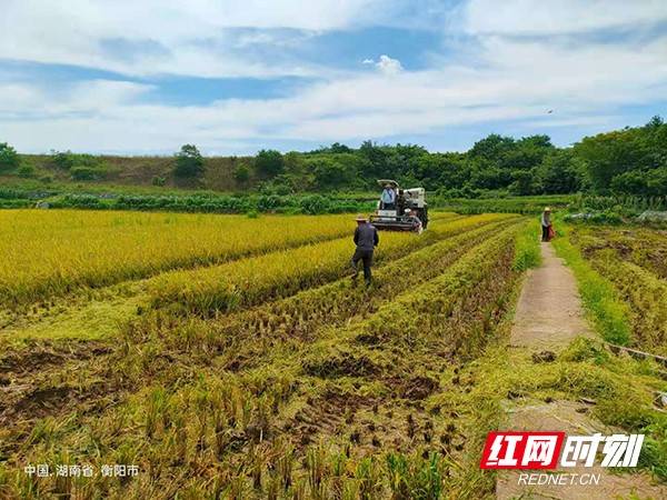 沙湾社区村最新天气预报