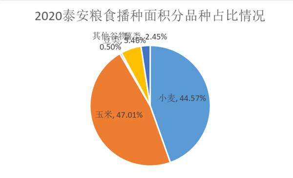 泰安市企业调查队深化企业调研，助推经济高质量发展新动向