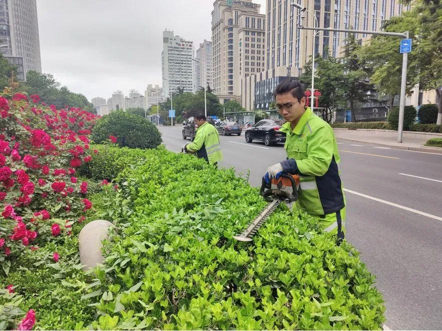 新浦区发展和改革局最新项目概览及动态分析