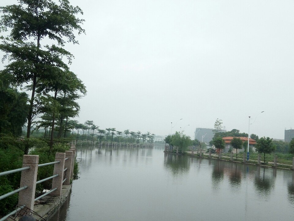 塘尾街道最新天气预报