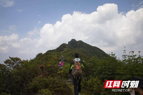 郎溪县文化广电体育和旅游局最新项目，推动地方文化繁荣与旅游发展