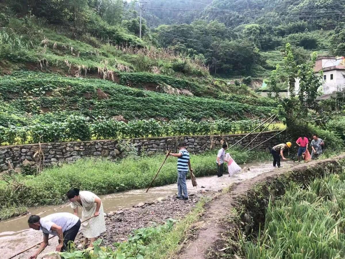 高县住房和城乡建设局最新发展规划概览