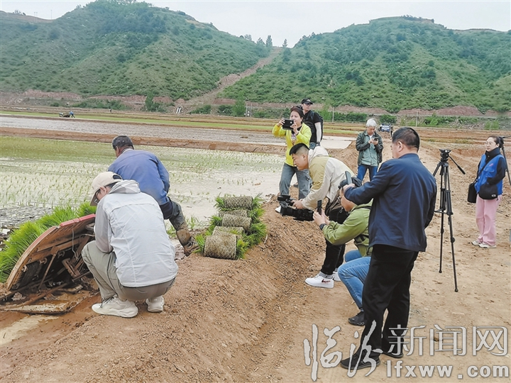 仲夏乡最新新闻报道概览