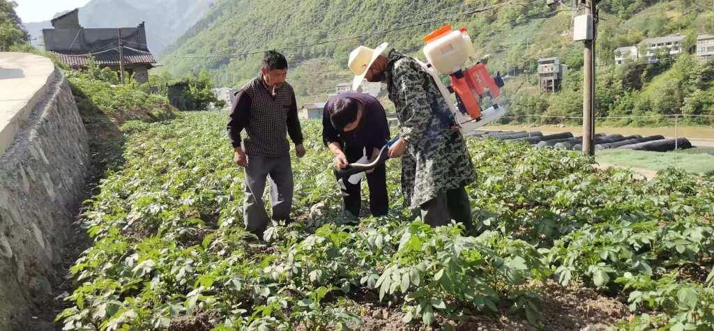 修齐镇最新招聘信息详解与概述