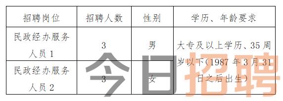 巴青县数据和政务服务局最新招聘信息详解