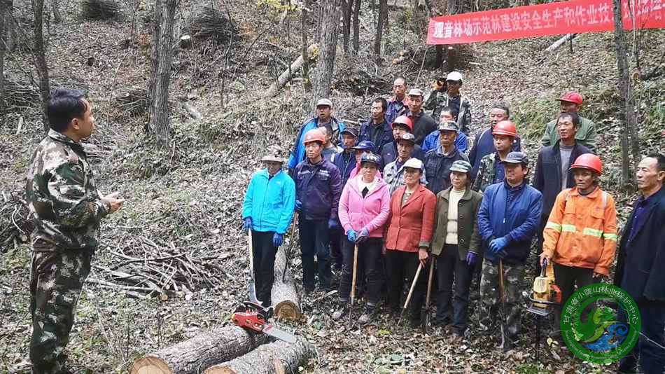 宝马山林场最新新闻报道