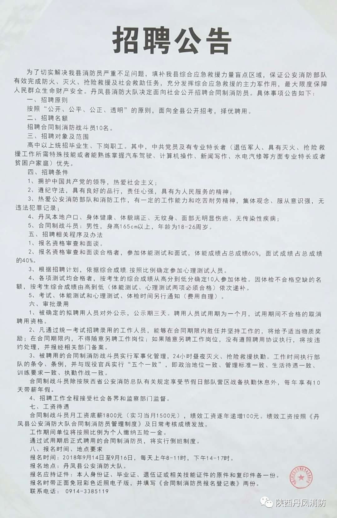 乐业县人民政府办公室最新招聘信息详解