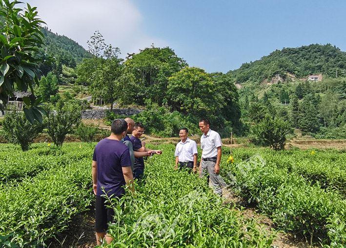 秀山土家族苗族自治县数据与政务服务局人事任命动态更新